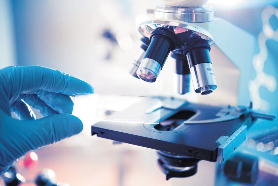 Life Sciences image placeholder