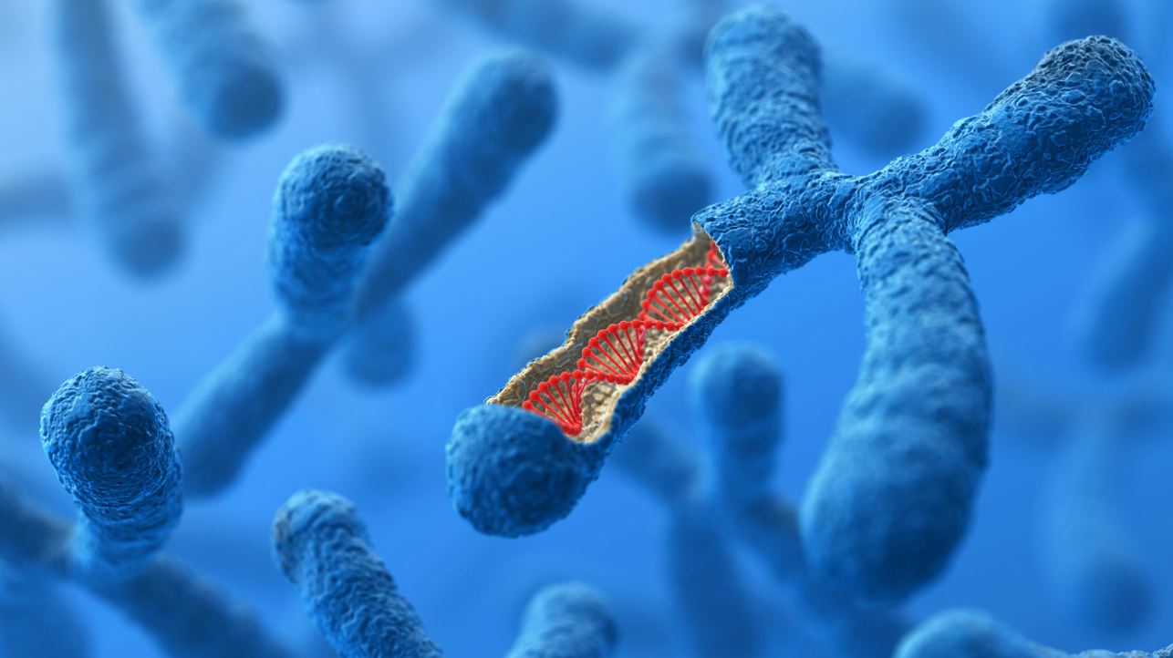 Molecular Genetics image placeholder